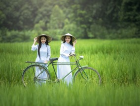 韩国电影中的古代文化瑰宝韩国电影古代女主跳舞